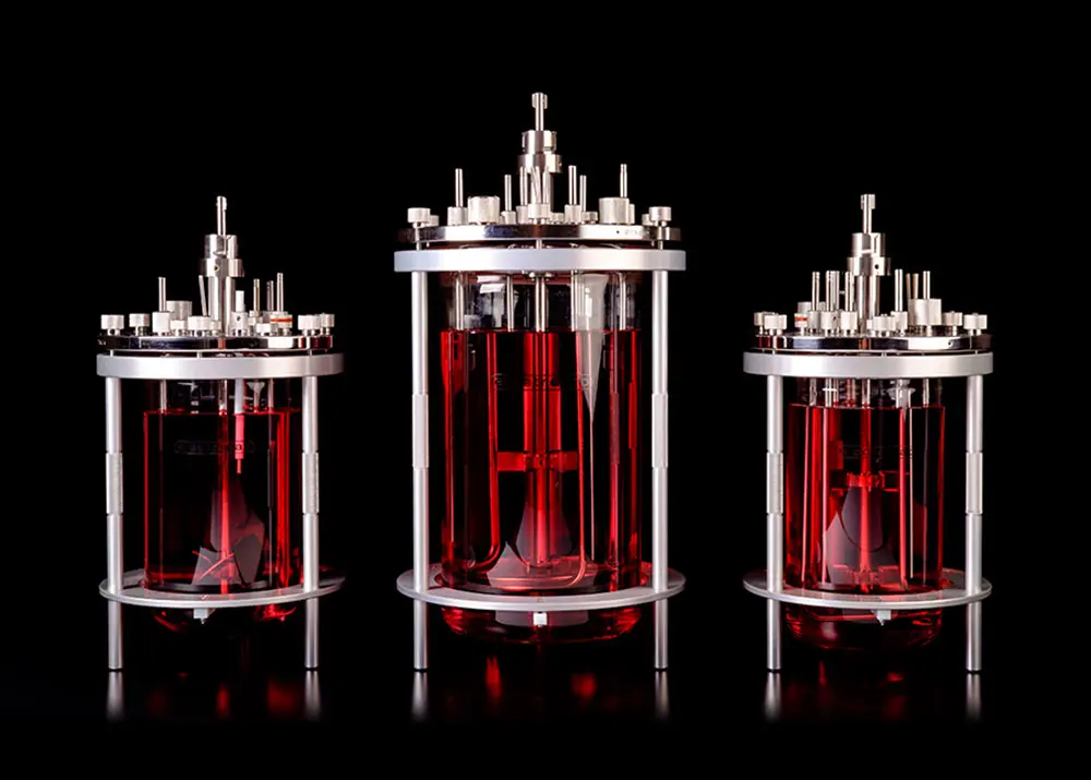 FerMac Bioreactor Vessels (front view)